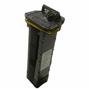 TRS ON-E Batteri 20"